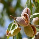 무본자강한의원 이미지