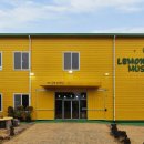 레몬뮤지엄(Lemon Museum)