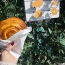 봄봄살롱 이미지