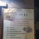홍스취킨 이미지