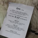 스윗차일드오마인 이미지