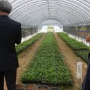 형제농원 이미지