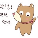 보코 서울 강남 이미지