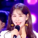 부신피질 이미지
