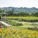 제주바람농원