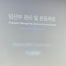 온화요가필라테스