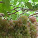 한국전력공사 담장 이미지