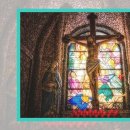 오렌지마취통증의학과의원 이미지