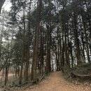 양떼목장 | 남해 상상양떼목장 체험 후기 가족여행 벚꽃명소 추천