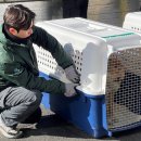 유니온동물의료센터 이미지