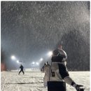 심플 | 곤지암 스키강습 추천 심플한 후기