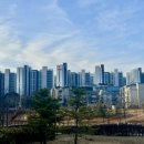 매천약국 이미지