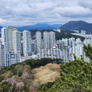 진달래목장 이미지