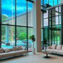 동강시스타 이미지