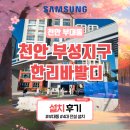 부성공조 이미지