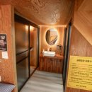 소나무세상 이미지