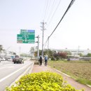 충주금릉초 이미지