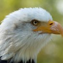 가운공인중개사사무소 이미지