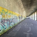 강촌 상상역 이미지