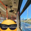 강릉시민택시협동조합 | 울산-강릉 기차 당일치기 뚜벅이 후기: 12,000보 걷고 장갑 잃어버렸다 찾은 파란만장한 하루