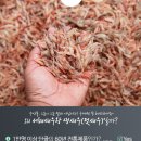 소래포구직판