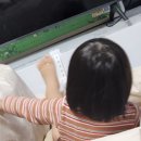 오라켄넬 | 푹신푹신한 펫트리움 붕붕 강아지 카시트 선물 받은 엉성한 후기