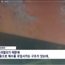 부산항서 코카인 100kg 적발… 부산 전체 인구 동시 투약 가능한 양 이미지