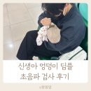 딤플 | 신생아 엉덩이 딤플 초음파 후기: 생후 1개월 아기 검사 결과와 정상 기준