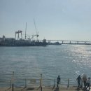 감천시장 | 부산당일치기여행 자갈치시장, 깡통시장, 감천문화마을 부산 대표 관광코스 뿌시기!!