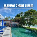 코사무이 가성비 리조트 차웽 비치 호텔 가격 비교 내돈내산 후기