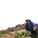 지리산천상화원 이미지