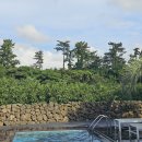 두모산책 | [제주] 두모산책 (풀빌라 내돈내산, 금액 및 위치,재방문🙆‍♀️)