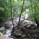 금화계곡주차장 이미지