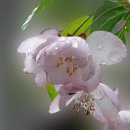 사진과포토샵 이미지