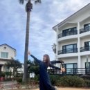 웨스트코스트트레이닝 이미지