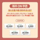 제주밀라네사뷔페 이미지
