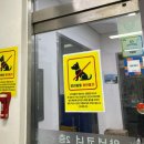 진주네맛집 이미지