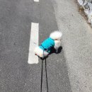 강아지마을 이미지
