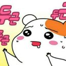 피자 아끌로네