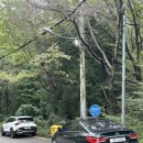 금정산성 | [부산 등산] 금정산성 미륵사 등산 후기 및 김해 대동 국수 후기