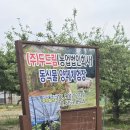 월포농장 | 두드림 농장 포항 아이랑 가볼만한곳 편하게 쉬다 온 후기