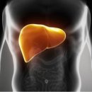 피트니스 Q 이미지