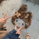 가을무렵 이미지