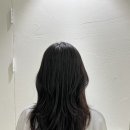 비브헤어스튜디오 이미지