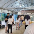 서울 근교 당일치기 양평 두물머리 연잎핫도그를 먹어요