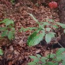 김영태농장 이미지