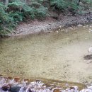 통고산자연휴양림 이미지