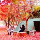 유명한캠핑장 이미지