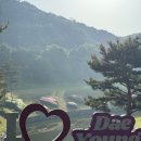 충주 대영힐스cc 라운딩 후기