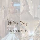 [김해 웨딩홀] JW웨딩컨벤션센터 :: 드레스셀렉꿀팁 웨딩쇼케이스 방문후기(feat.로지로사드레스)